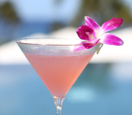 Martini Rosado