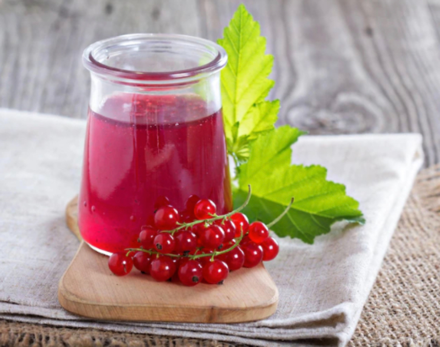 Gelatina de Grosella y Campari - Chefeel.com