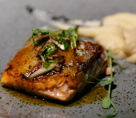 Salmón Marinado y Asado con Puré de Coliflor a la Mantequilla