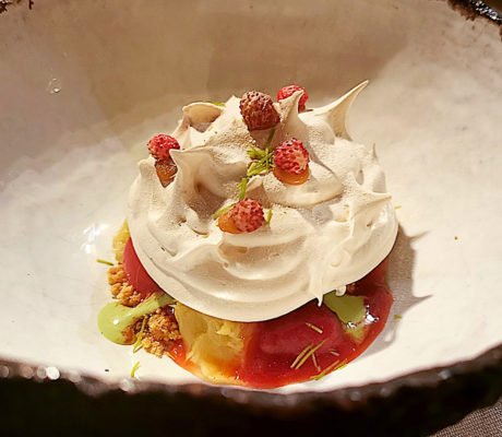 Merengue cítrico relleno sobre Galleta con Helado y Frutas Impregnadas