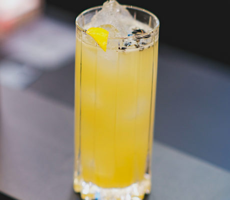 Cocktail John Collins